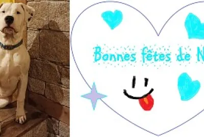 Bonne fête de Noël
