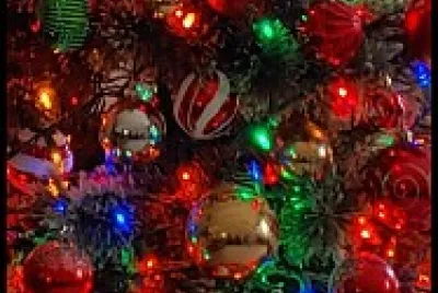 Full tree