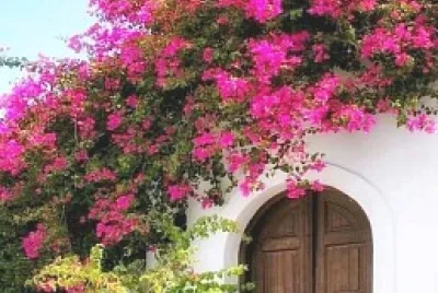 puerta