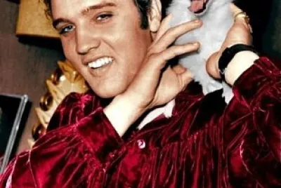 ELVIS ' PUPPY
