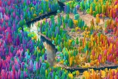 colorful