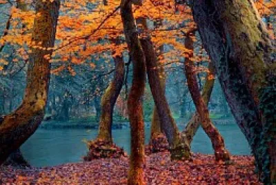 paisaje jigsaw puzzle