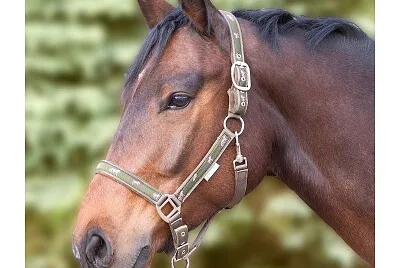 פאזל של cheval bai