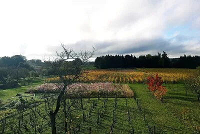 nature