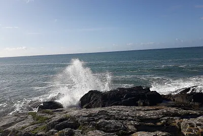 littoral