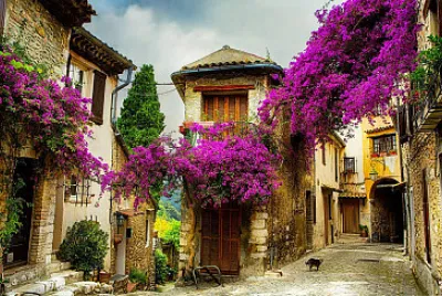 Floración - Francia