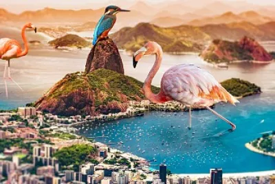 Ciudad