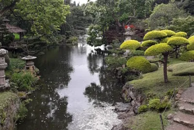 nature