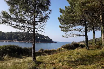 littoral