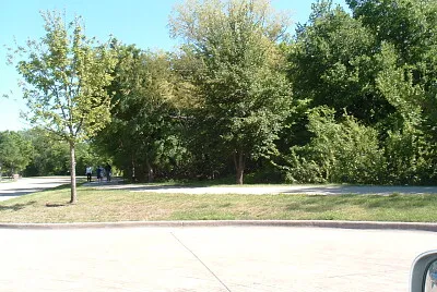 Bushes jigsaw puzzle