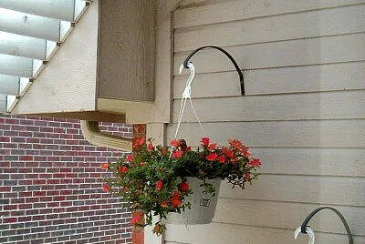 Hanging Flower Pot