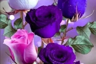 fleur