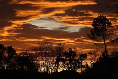 Coucher du Soleil - Landes