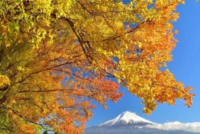 imagem jigsaw puzzle