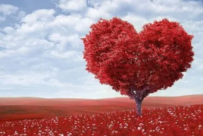 naturaleza