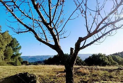NATURALEZA