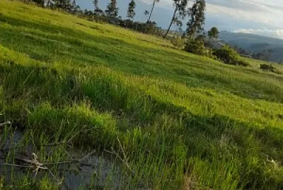 naturaleza