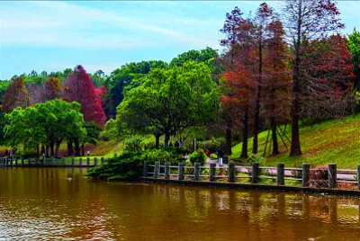 風景 jigsaw puzzle