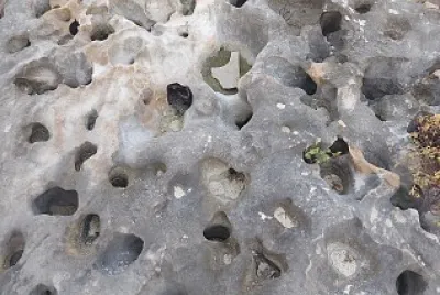 CORALES EN COZUMEL MX