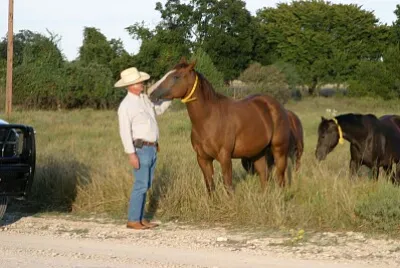 פאזל של Wagon Wheel Ranch