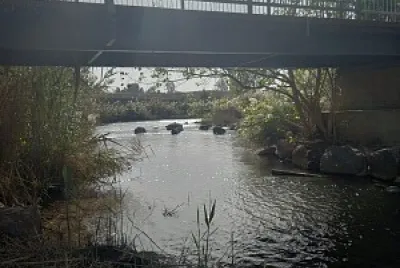 jorden river