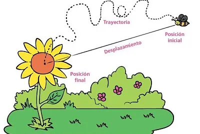el movimiento