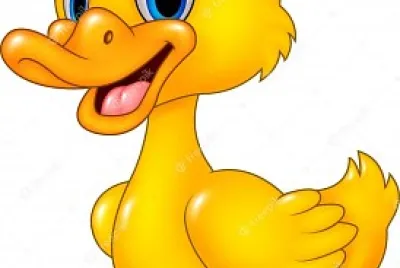 Pato