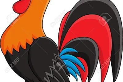 Gallo
