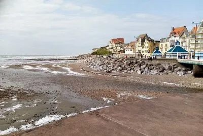 NATUREZA jigsaw puzzle