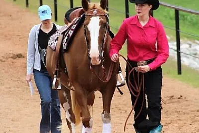 Western Dressage World Championship Show