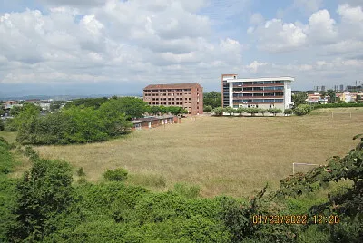 Mi panorama