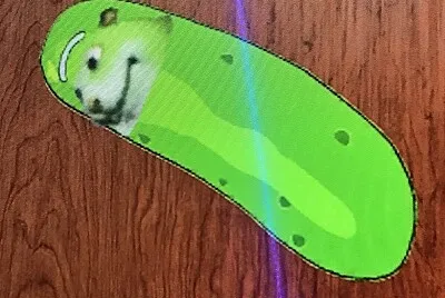 Pickle Chomik