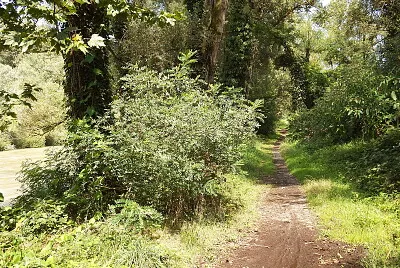 che passaggio jigsaw puzzle