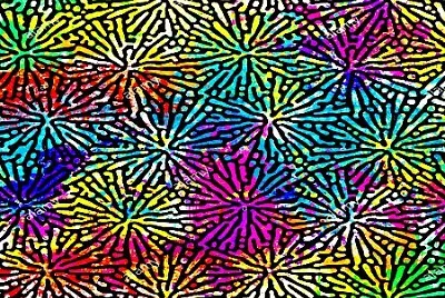 draw