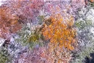 winter #268 jigsaw puzzle