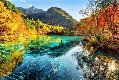 247 jigsaw puzzle