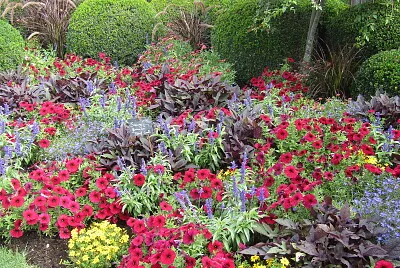 Terra botanica jigsaw puzzle