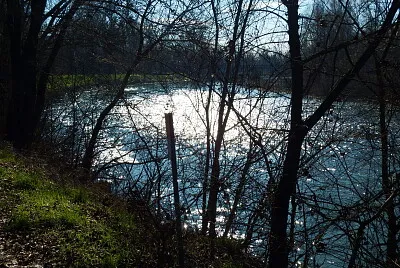 chiaroscuro dell 'oglio