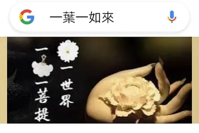 菩提