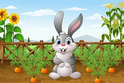 Lagus, el conejo del páramo