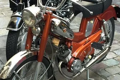 פאזל של mob