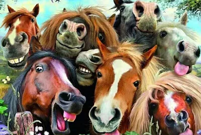 Sourires