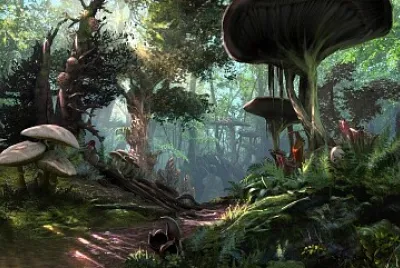 Path to adventure