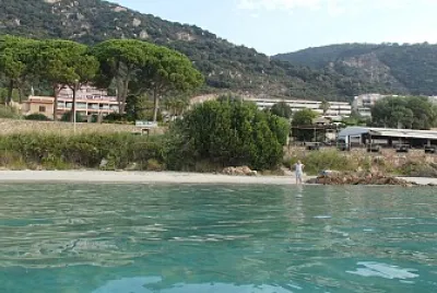 Corse
