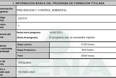 Programa de formacion
