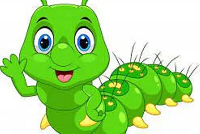 Gusano