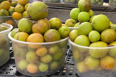frutas