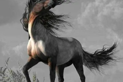 פאזל של Caballo
