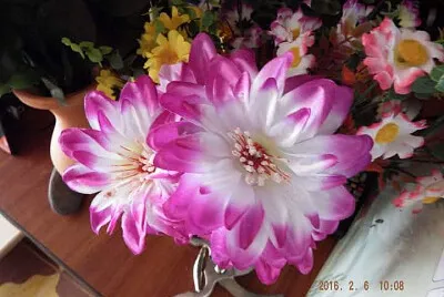 FLORES