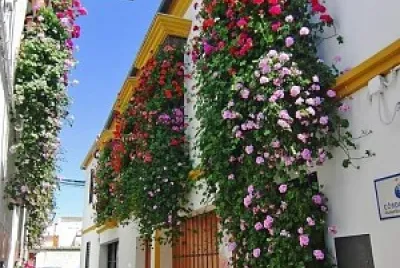 Córdoba